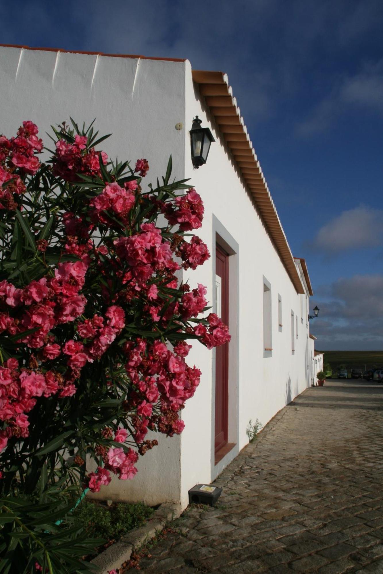 Monte Da Morena Agro-Turismo Serpa Exterior photo